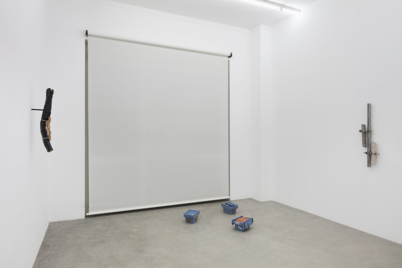 Daniel De Paula. Installation view at Francesca Minini, Milan. ph. Andrea Rossetti